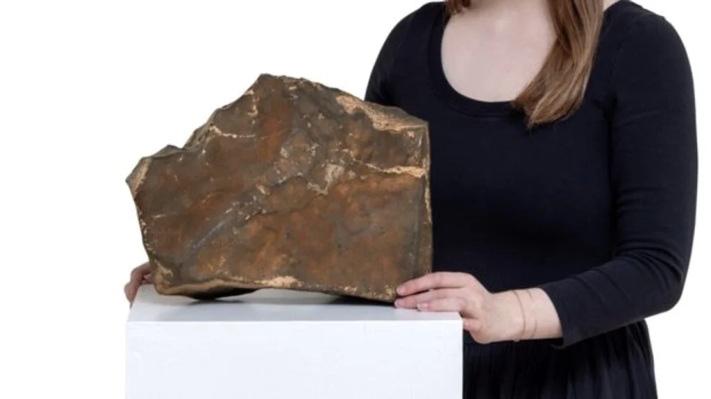 Meteorit Langka dari Mars Akan Dilelang dengan Harga Fantastis