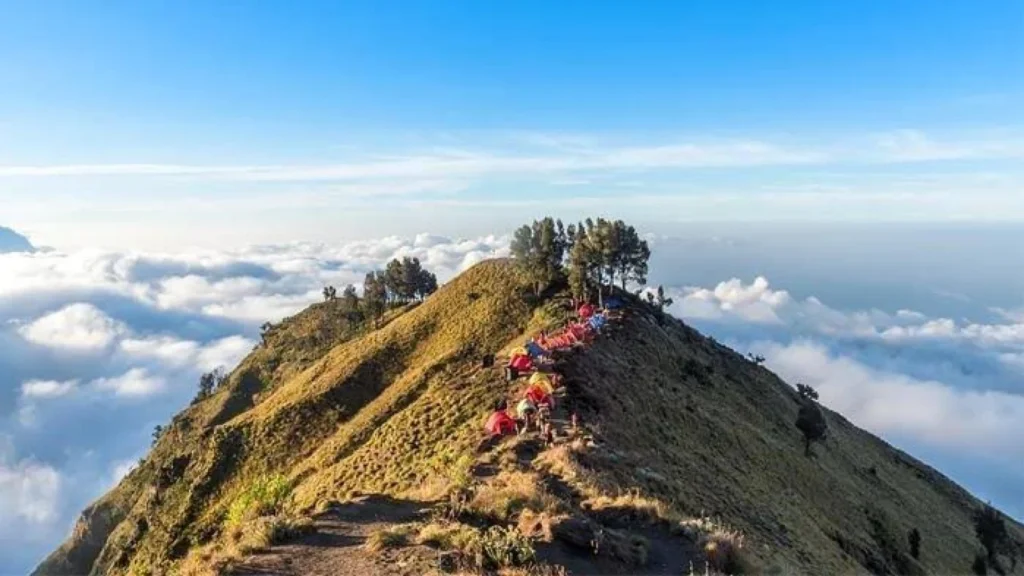 Perbaikan Jalur Pendakian di Gunung Rinjani: Peningkatan Keselamatan dan Kenyamanan