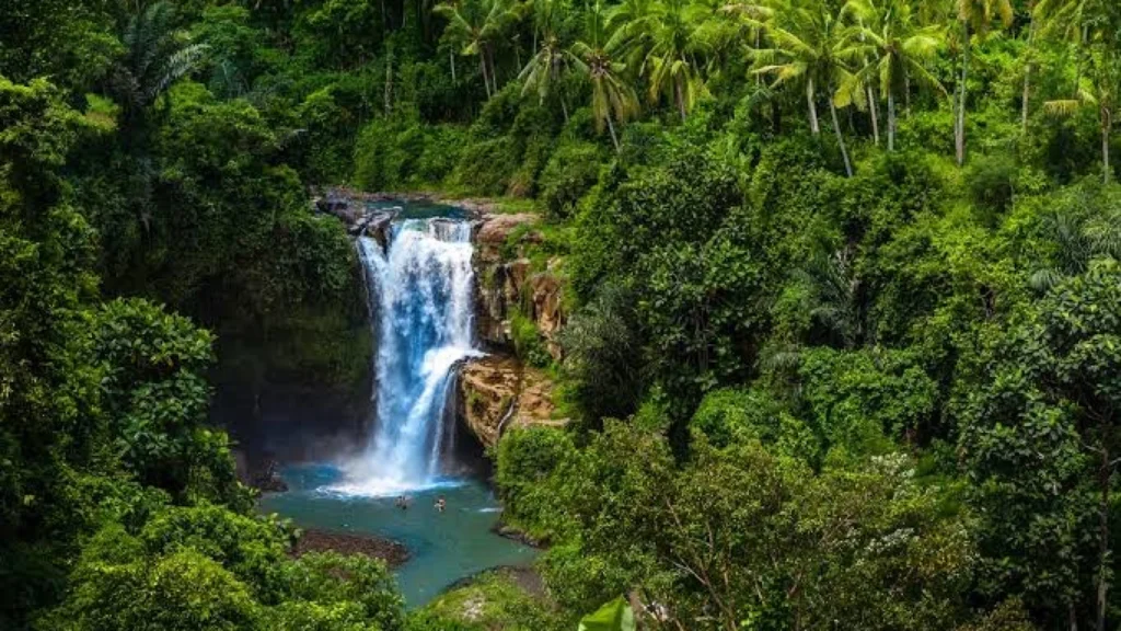 Destinasi Alam Terbaik untuk Solo Traveler di Indonesia