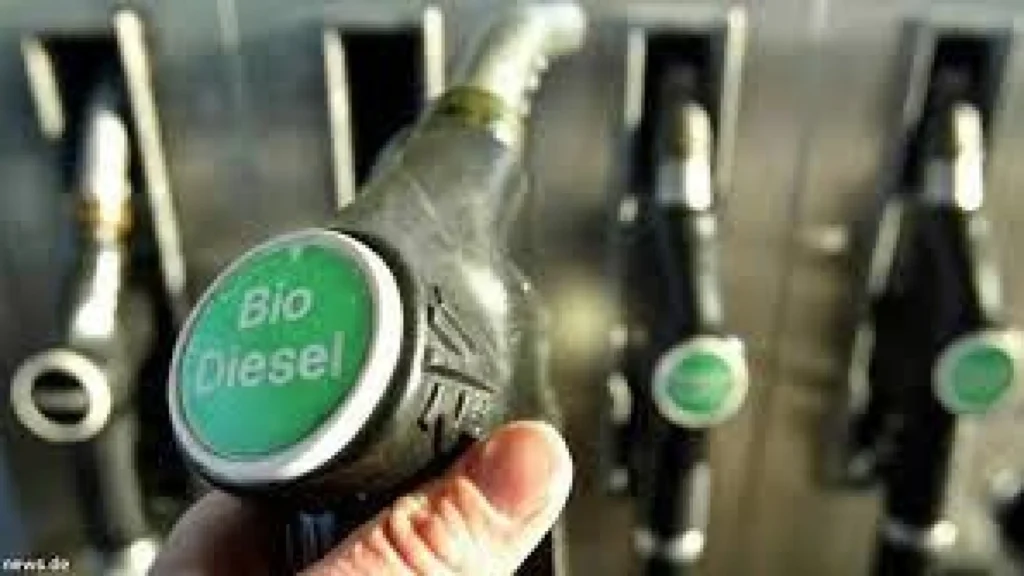 Evaluasi Penerapan B50 dan Pembangunan Pabrik Biodiesel di Merauke