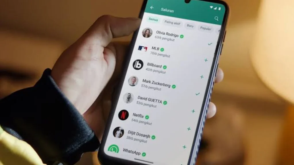 Tanda-tanda Anda Mungkin Diblokir di WhatsApp